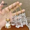 Pet Loss Sympathy Gift Hair Memorial Keychain, Dog Keepsake Holder, Transparent Jewelry Bottle Pendant, Portable Commemorative Charm for Keys