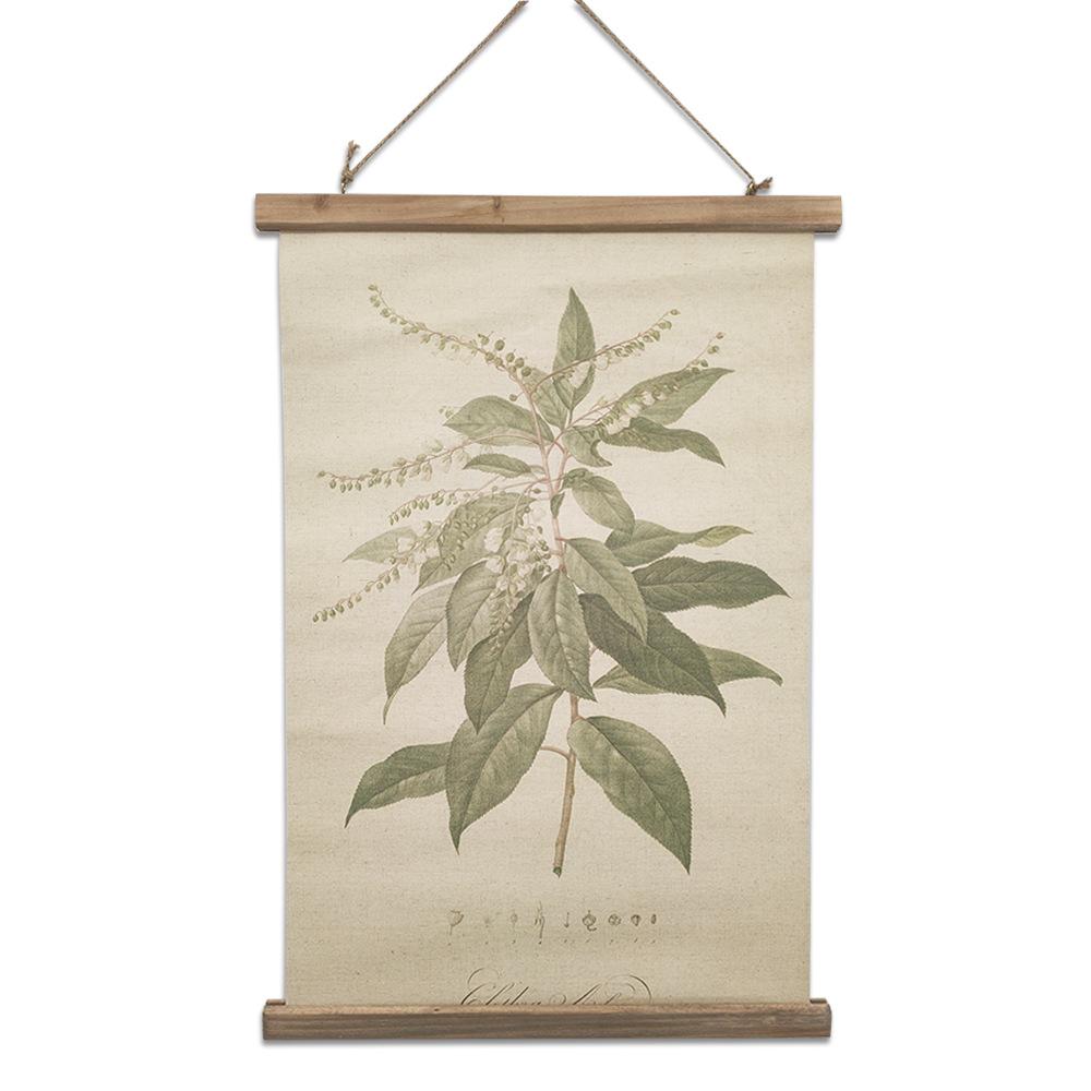 

Винтажный иллюстративный справочный плакат с подвесным растением, отпечатки ботанического настенного искусства в стиле ретро, напечатанные на льне с деревянными рамами, готовы к подвешиванию Style 3