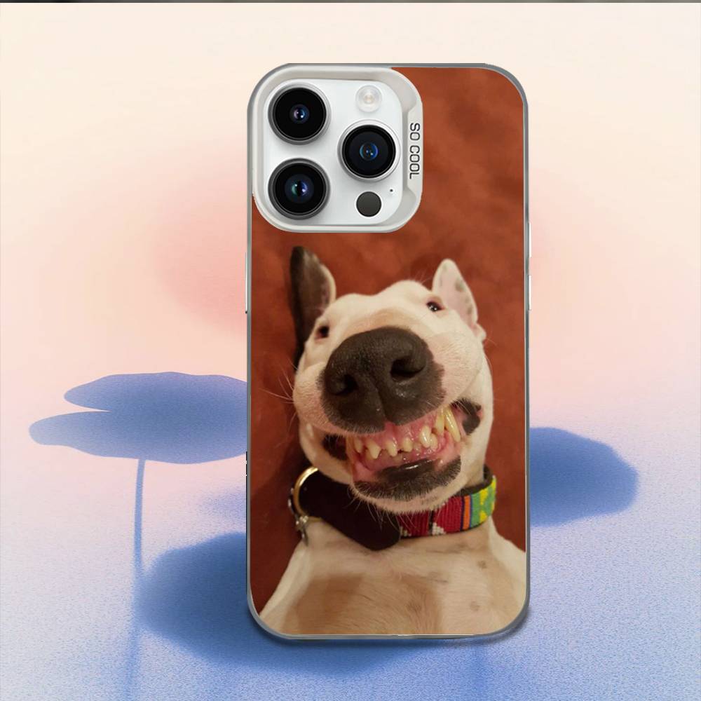 Funny Bull Terrier Dog Phone Case For iPhone 16,15,14,13,12,11,Mini,Pro,E,MAX White Candy Matte Shockproof Cover