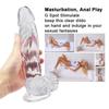 Transparent Dildo Anal Plug for Women Realistic Penis With Suction Cup Erotic Butt Plug Sex Toys Big Penis Dick Dildos Adult