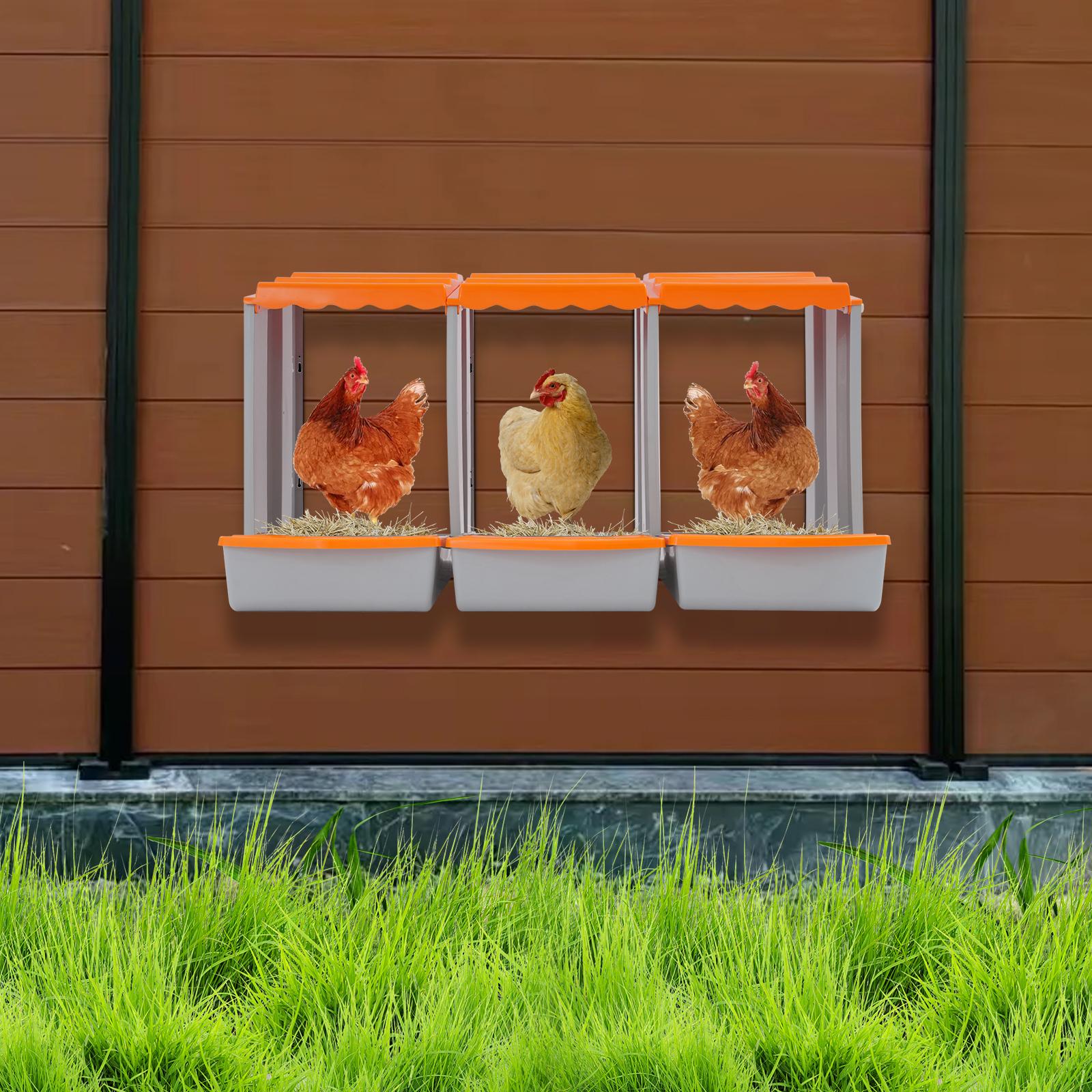 Nido per Galline a 3 Scomparti, Nido per Galline Ovaiole per la Raccolta delle Uova, Nido durevole in PP per Gabbia di Pollo -33,26x20,27x18,3 pollici