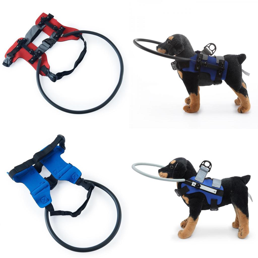 Sicherheitskragen für blinde Hunde mit stoßfestem Design für die Pflege älterer Hunde