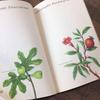 [USED] Plant encyclopedia, old German books, botanical art, junk journals