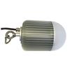 LED-lampen – LED-lampen en -strips