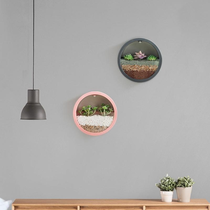 Wall Mounted Plant Hanging Container Easy No Tool Setups Ideal For Green Decoration Vertical Gardening In Compact Area