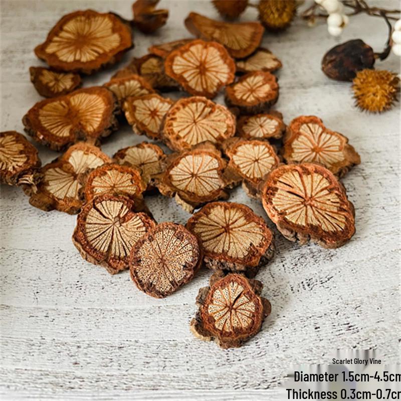 Natural Dried Pine Cones for Christmas Tree Decoration, Photography Props, Floral Wreaths, and Bouquets.