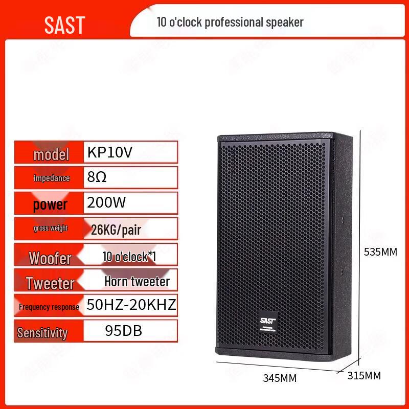 SAST KP10V 10-Inch Professional KTV Stage Speaker