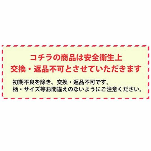 Skater Children's Fork Hungry Caterpillar Made in Japan F9