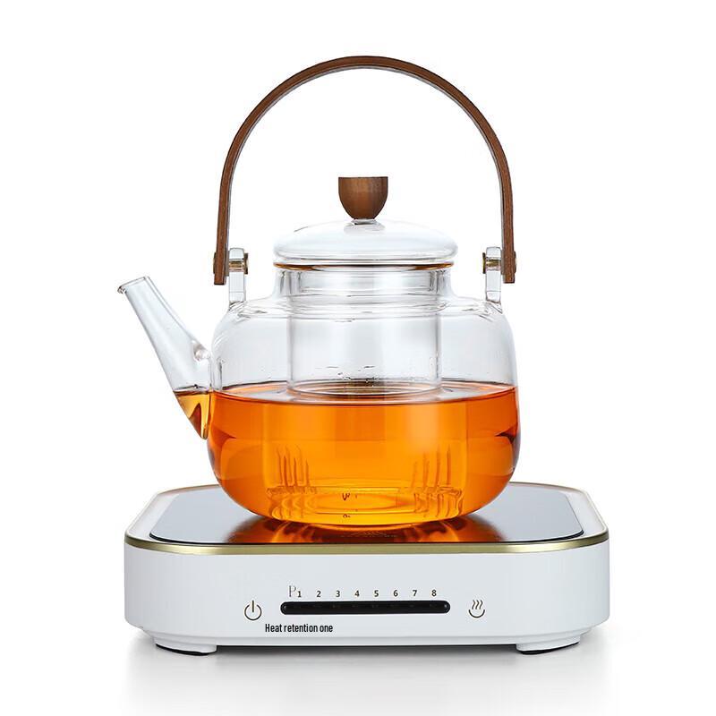Gomi Electric Tea & Health Pot Set