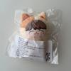 Used NCT127 Jaehyun Danim Plush Toy