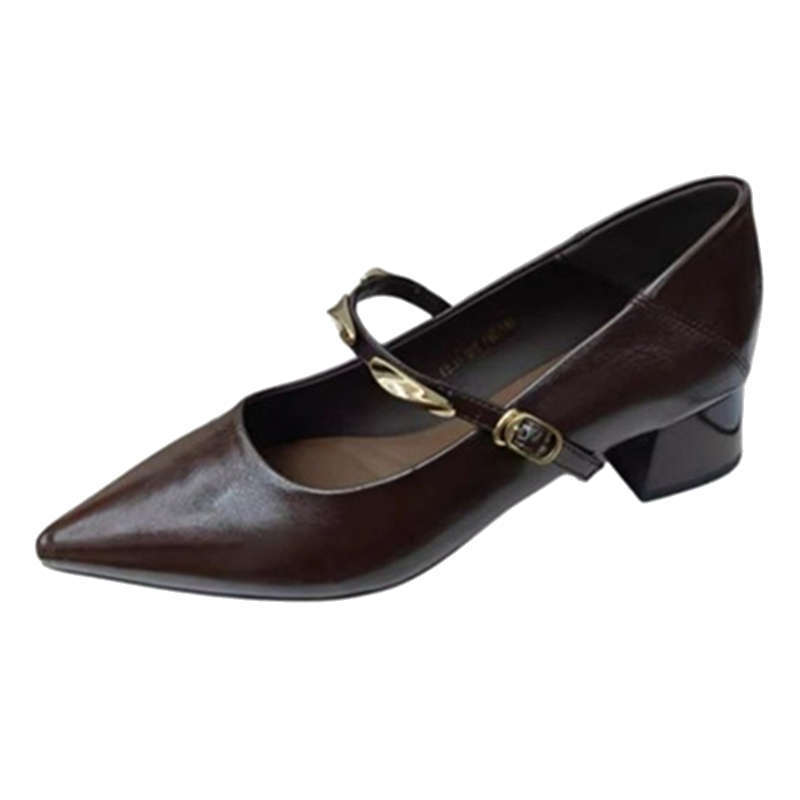 French brown pointed thick heel single shoes women's spring and autumn new retro metal one-word with light mouth Mary Jane shoes