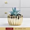 Electroplated Golden Ceramic Succulent Flower Pot Home Decor Horticultural Potted Creative Tabletop Plant Pots Floral Utensils