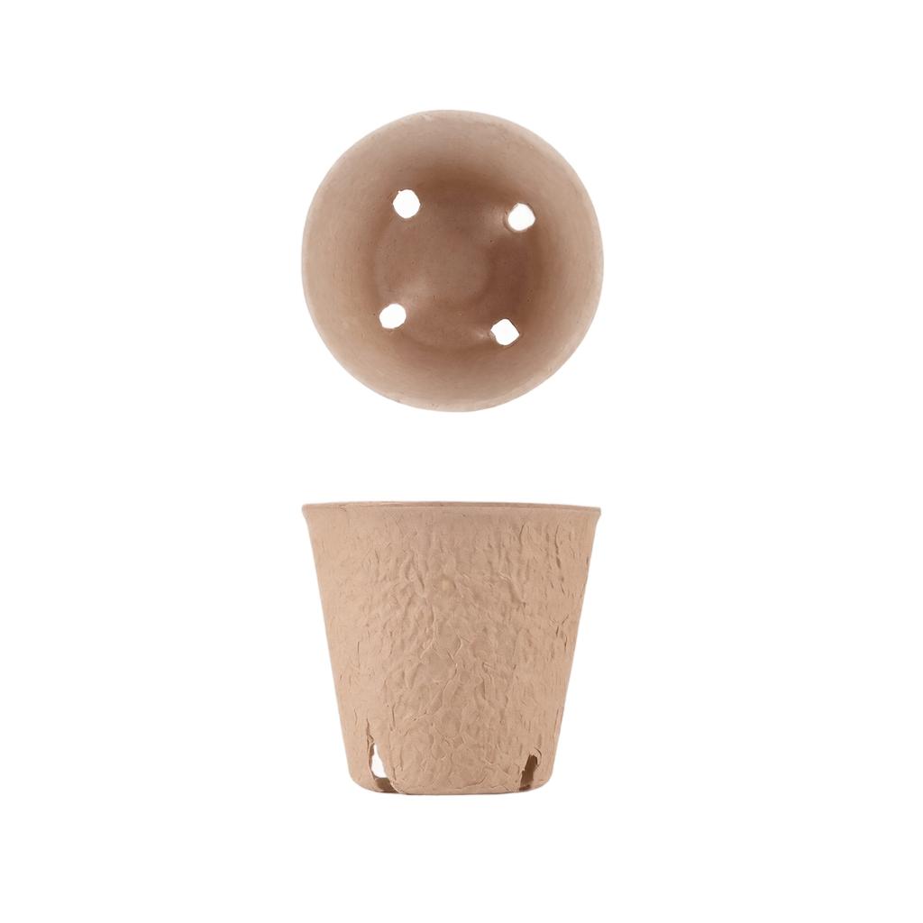 Biodegradable Round Pulp Seedling Pots 8cm Large Size with 4 Drainage Holes Pack of 50 for Plant Nursery and Seed Starting