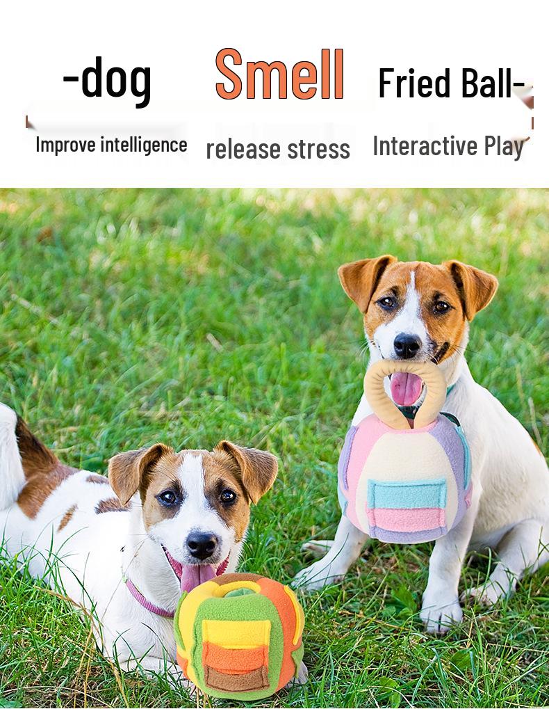 Pet Toy Sound Ball: Puzzle Hide & Seek for Cats and Dogs from Japan & South Korea