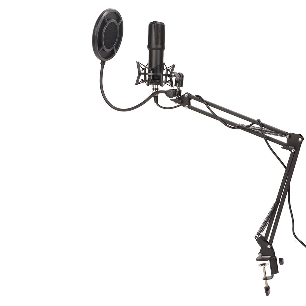Microphone Professional Recording Game Streaming Media Cardioid Pointing Computer Microphone
