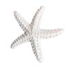 white-4.5cm
