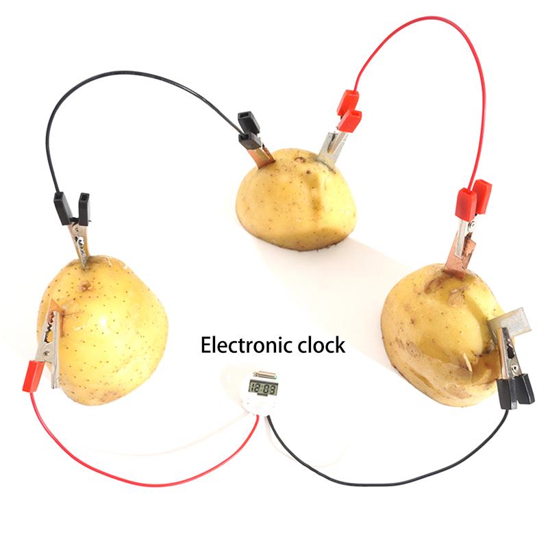 Children Bio Energy Science Kit Fun Potato Fruit Supply Electricity Experiments Toys Kids Student Learining Diy Science Toy