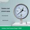 DEKOY 100BF Stainless Steel Pressure Gauge (CN Version)