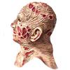 Freddy Mask Halloween Horror Movie Latex Human Face Ghost Mask Jason Freddy Mask
