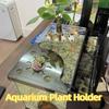 Punch-free Fish Tank Corner Storage Rack Clear Aquarium Plant Holder  Coral Frag Storage
