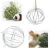 Stainless Steel Plated Hay Rack Ball Feed Dispenser Suspendable Toy Guinea Pig Hamster Rat Rabbit Pet Supply Grass Rack Ball