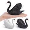 Wild Animal Swan Model: Children's Cognitive Farm Decor - White & Black Swan Ornament
