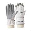 Winter Gloves Lined Warm Mittens Ski for Motorcycling Outdoor Sports Skating
