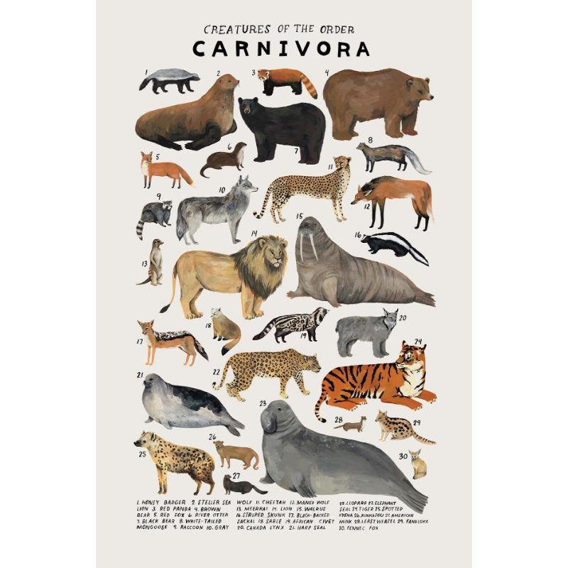 Woodland Animals Genus Generic evolution Nursery Posters Child Educate Prints Canvas Painting Wall Art Pictures Room Home Decor