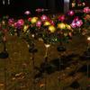 LED Solar Flower Light IP65 Waterproof Automatic ON/OFF Simple Installation