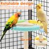 Parrot Perch Wood Stand Rotary Tabletop Training Bird Toy Versatile Interactive Bird Cage Accessories Home Bird Raising Supplies