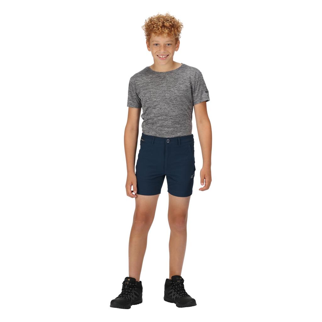 Regatta Childrens/Kids Highton Shorts