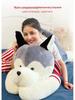 Huge Husky Bear Plush Doll - Cute Ragdoll Stuffed Animal Sleeping Pillow