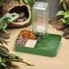 1PC Automatic Reptile Feeder Lizard Water Bowl Corner Dish with Water Bottle for Small Animal Pet Turtle Maned Lion Gecko Lizard