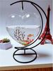 Kreatives Mikro-Landschafts-Kampffisch-Aquarium - Modisches Glas-Fischglas-Dekorationsobjekt für die Heimdekoration, Kleine Geschenke
