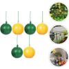 Fruit Fly and Insect Sticky Trap,  Ball, Yellow Green Mosquito Ball,  Needle Bee and Worm Catcher, Garden  Tool