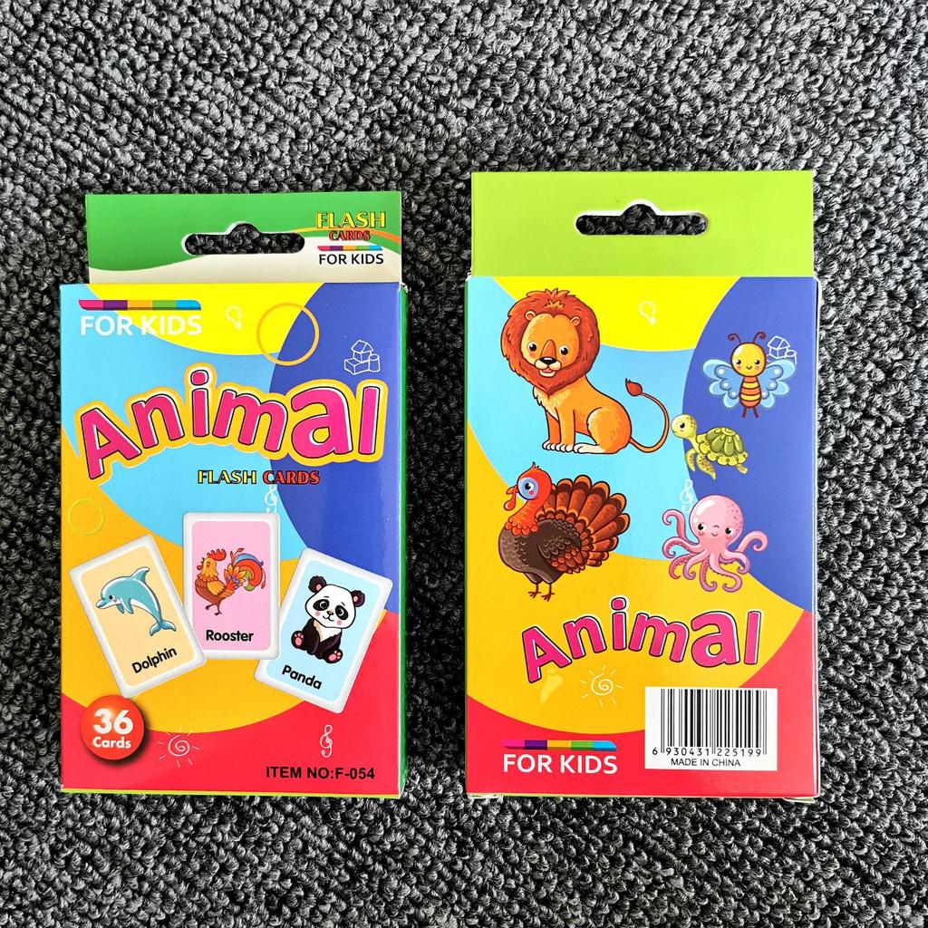 C3 Kids' Early Education Color Flash Cards - Hanging Box Set