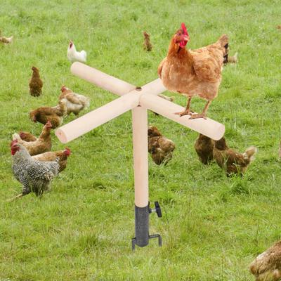 Pájaros – Juguetes para pájaros