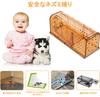 Small Mouse Mouse Expandable Easy To Set Clear Color for Easy Capture Trap, Step-Type Trap, Repellent, Size, Up, Reusable, (Brown, 4-Pack)