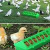 16 Hole Plastic Flip-Top Poultry Bird Feeder Ground Chicken Bird Feeder Trough Pheasant feeding bucket Quality Chick