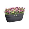 ELHO Balcony Planter Vibia Campana Easy Hanger Large - 7.5 L - 46 X 24 X 26.5 Cm - Anthracite