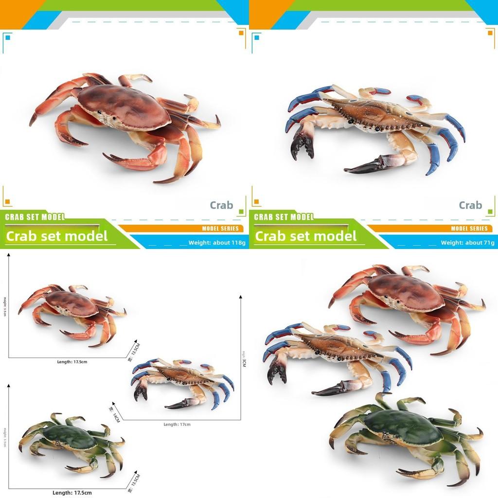 Meerestier-Krabbenmodell mit realistischem Design für die Schreibtischdekoration