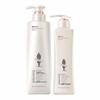 Adolph Shiny & Silky Shampoo 2-Piece Set