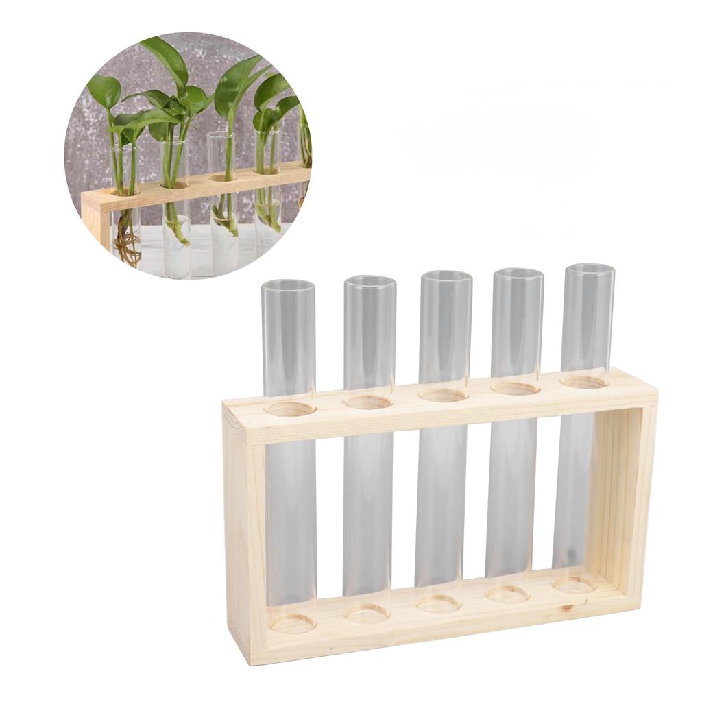 5 Test Tube Plant Terrarium Transparent Observe Growth Status Water Plant Holder with Wooden Stand for Herbs