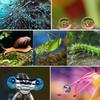4Pcs 37-82mm +1 +2 +4 +10 Optical Glass SLR Camera Macro Lens Close-up Filters
