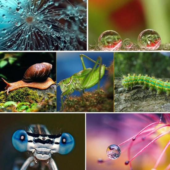 4Pcs 37-82mm +1 +2 +4 +10 Optical Glass SLR Camera Macro Lens Close-up Filters