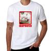 Ibuprofen Katze Meme T-Shirt T Shirt Unisex Einfache Bedruckte T-Shirts Für Unisex T-Shirt