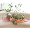 Turtle Funny Simulation Shell Plush Toy Can Wear Doll Sleeping Gift Clothes