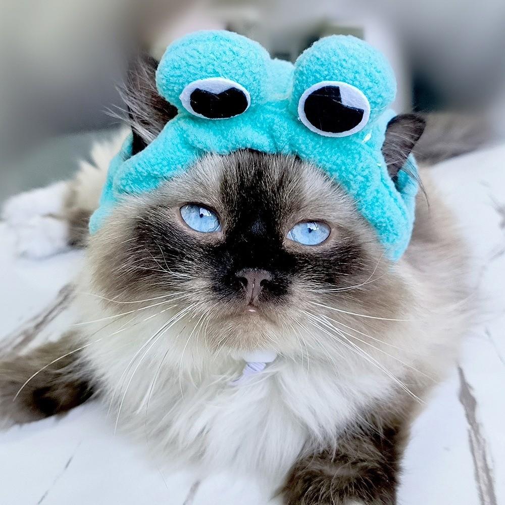 Cute Pet Hat Soft Cat Hat Dog Cat Headgear Pet Headgear Photo Taking