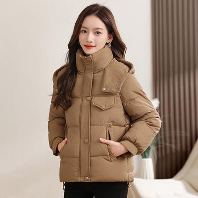 Short Hooded Padded Jacket Winter New Slim Fashion Thickened Versatile Padded Jacket Women's Coat