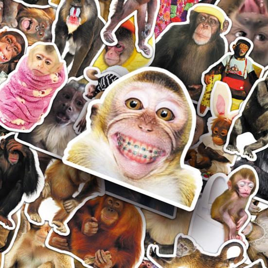 50Pcs Funny Monkey Sticker Waterproof Hilarious Vinyl Decals Waterproof Chemical-free Stickers for Luggage Laptops Water Bottles Skateboards